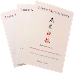 Aperçu sur la métaphysique dans le monde moderne, Shen Long